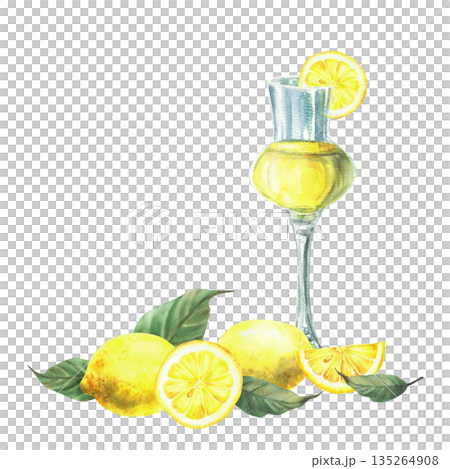 Limoncello bottle, cocktail glass with fresh lemons with leaves, and sliced. Hand painted in watercolor. Illustration for summer drinks menu, themed weddings, branding Mediterranean design. isolated 135264908