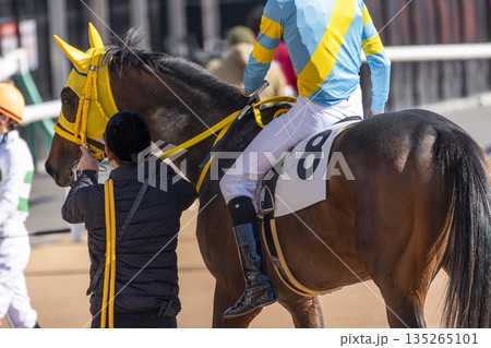 競馬場の風景 レース後の馬 京都府京都市 競馬場の風景 レース後の馬 京都府京都市 135265101
