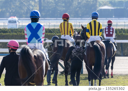 競馬場の風景　本馬場入場する馬　京都府京都市 135265302