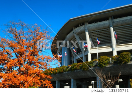 秋の横浜国際総合競技場 135265751