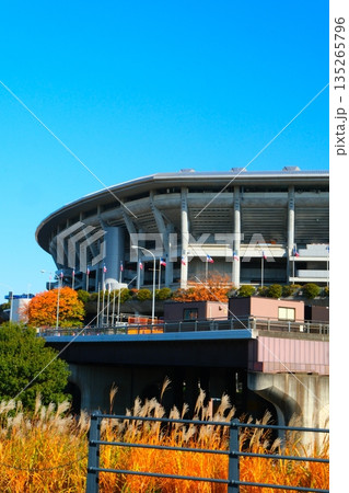 秋の横浜国際総合競技場 秋の横浜国際総合競技場 135265796