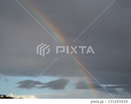 空に虹 空に虹 135265839