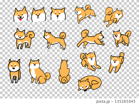 一組柴犬各種姿勢和表情的插圖 135265845