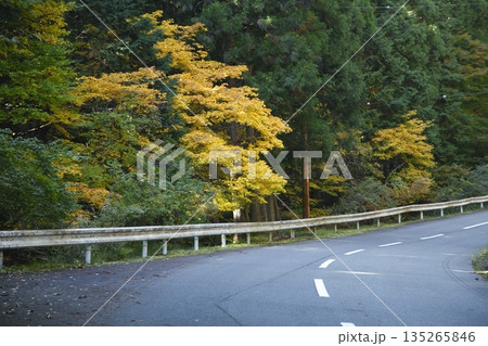 大原の国道477号線の紅葉 大原の国道477号線の紅葉 135265846
