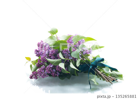 Composition of lilacs of white and purple flowers on a white background Composition of lilacs of white and purple flowers on a white background 135265881