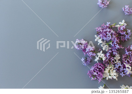 Lilac composition top view on gray background with empty space Lilac composition top view on gray background with empty space 135265887