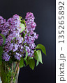 A branch of beautiful lilac on a black background 135265892