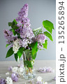 beautiful bouquet of lilacs in a vase on a gray background 135265894