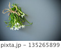 Minimalist snowdrop arrangement on a gray background 135265899