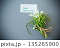 Minimalist snowdrop arrangement on a gray background 135265900