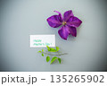 Close-up of purple clematis on light background 135265902