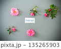 Minimalist garden rose arrangement on a gray background 135265903