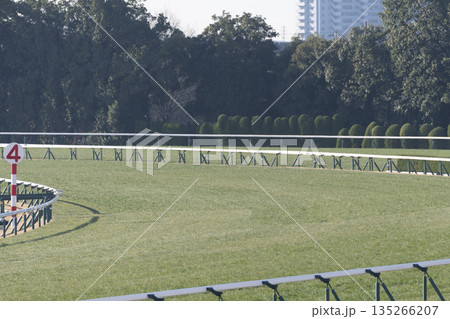 競馬場の風景　4コーナー　京都府京都市 135266207