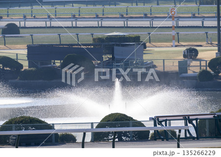 競馬場の風景　内馬場の噴水　京都府京都市 135266229