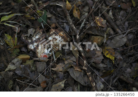 忘れられた空き缶 忘れられた空き缶 135266450