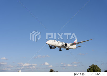 夕方の大阪空港（伊丹空港）　着陸中の飛行機　大阪府豊中市 135266502
