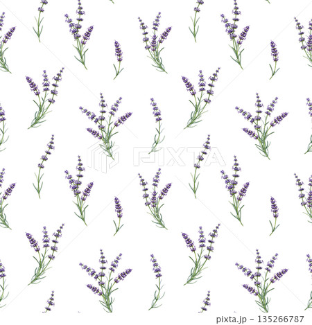 Lavender flowers seamless pattern on white background watercolor illustration. Hand drawn organic lavandula herb stems botanical illustration. Medicinal and aroma lavender herb seamless pattern Lavender flowers seamless pattern on white background watercolor illustration. Hand drawn organic lavandula herb stems botanical illustration. Medicinal and aroma lavender herb seamless pattern 135266787