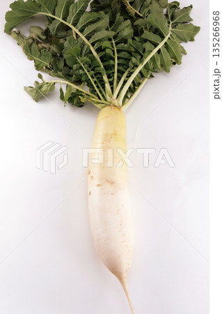畑から掘りたての大根 135266968