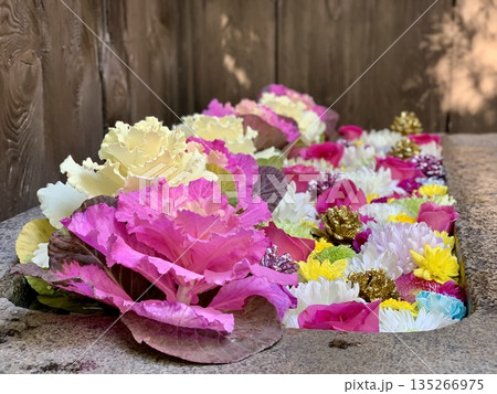 1月の花手水(葉牡丹・薔薇・菊・カーネーション・松ぼっくり)〈菅生神社/愛知県岡崎市〉 1月の花手水(葉牡丹・薔薇・菊・カーネーション・松ぼっくり)〈菅生神社/愛知県岡崎市〉 135266975
