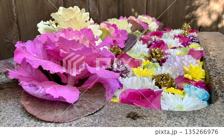 1月の花手水(葉牡丹・薔薇・菊・カーネーション・松ぼっくり)〈菅生神社/愛知県岡崎市〉 1月の花手水(葉牡丹・薔薇・菊・カーネーション・松ぼっくり)〈菅生神社/愛知県岡崎市〉 135266976
