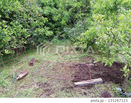 箱わな設置場所 135267123