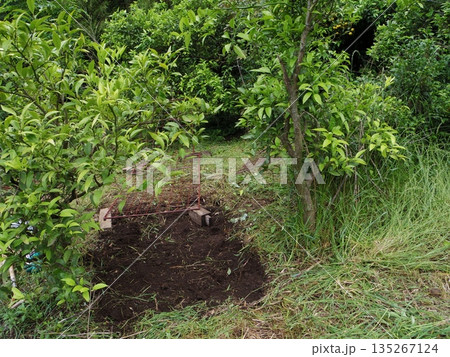 箱わな設置場所 箱わな設置場所 135267124