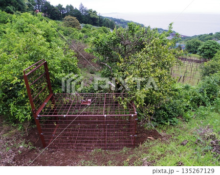 箱わなと海 箱わなと海 135267129