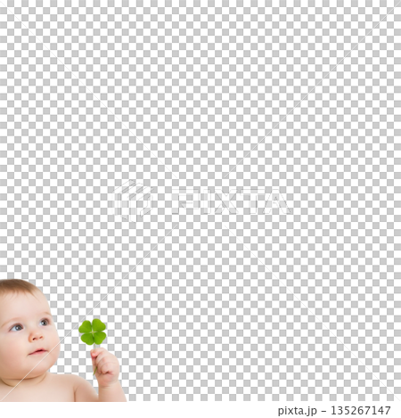 可愛的寶寶拿著一株四葉草 135267147