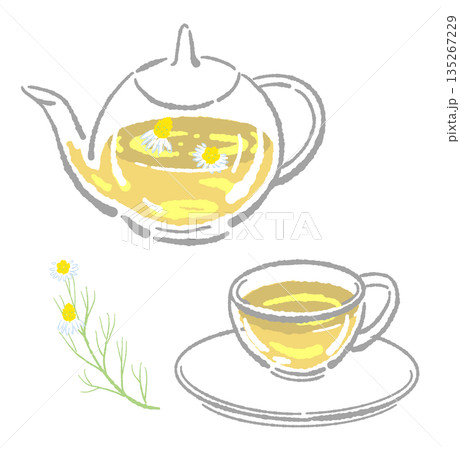 手書き風のガラスのハーブティーセットのイラスト(カモミール・ティーポット・カップ) 手書き風のガラスのハーブティーセットのイラスト(カモミール・ティーポット・カップ) 135267229