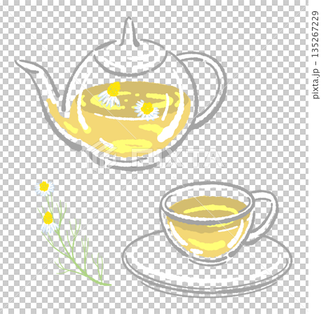 手書き風のガラスのハーブティーセットのイラスト(カモミール・ティーポット・カップ) 手書き風のガラスのハーブティーセットのイラスト(カモミール・ティーポット・カップ) 135267229
