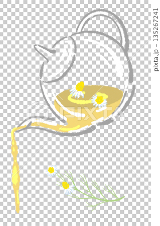 手書き風のガラスのハーブティーセットのイラスト（カモミール・ティーポット・カップ） 135267241