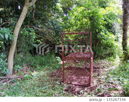 箱わな(片開き式) 箱わな(片開き式) 135267336