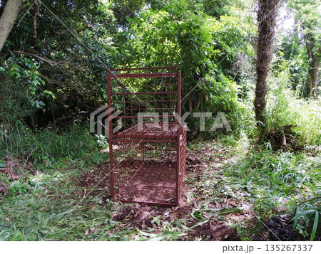 箱わな(片開き式) 箱わな(片開き式) 135267337