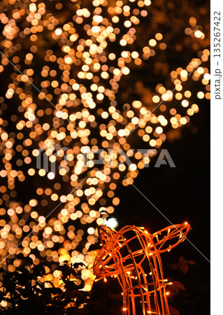 横浜日本大通りのイルミネーション2025 135267422