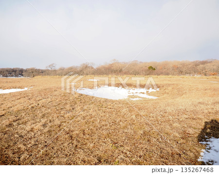十勝ホロカヤントーの竪穴群の風景 135267468