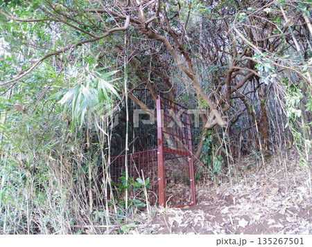 箱わな 箱わな 135267501