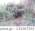 箱わな 135267503