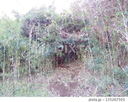 箱わな 箱わな 135267503