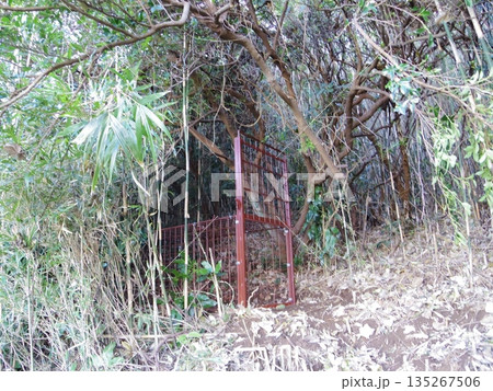 箱わな 箱わな 135267506