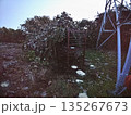 箱わな 135267673
