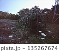 箱わな 135267674