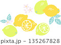 レトロ風のシンプルでポップなレモンのイラスト 135267828