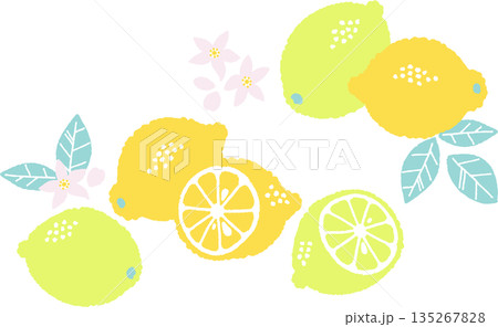 レトロ風のシンプルでポップなレモンのイラスト レトロ風のシンプルでポップなレモンのイラスト 135267828