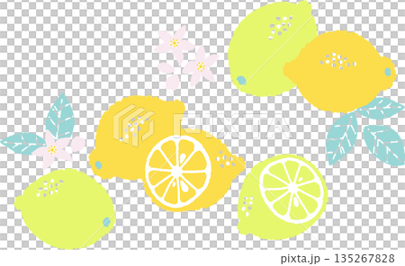 レトロ風のシンプルでポップなレモンのイラスト レトロ風のシンプルでポップなレモンのイラスト 135267828