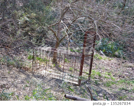 箱わな（ぬかまき） 135267834