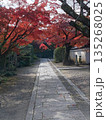 寺院の参道を覆うモミジ 135268025