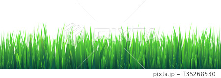 Meadow silhouette with green grass, plants on plain. Panoramic summer lawn landscape with herbs, various weeds. Herbal border, frame element. Black horizontal banners. Vector illustration Meadow silhouette with green grass, plants on plain. Panoramic summer lawn landscape with herbs, various weeds. Herbal border, frame element. Black horizontal banners. Vector illustration 135268530