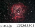 ばら星雲 135268803