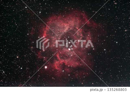 ばら星雲 135268803