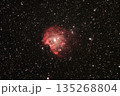 モンキー星雲 135268804
